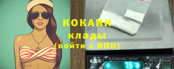 spice Лагань