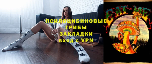 spice Лагань