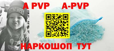 герыч Кингисепп