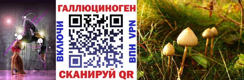 blacksprut маркетплейс  Сухой Лог  Псилоцибиновые грибы мухоморы 